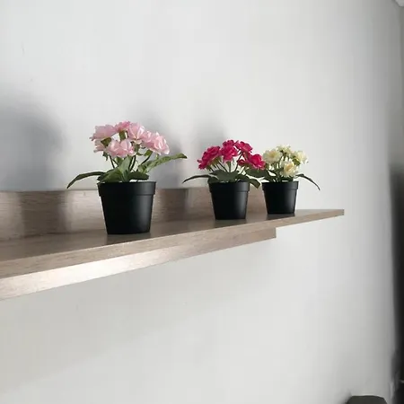 Dimitris House * Thessaloniki