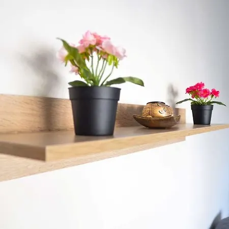 Apartamento Dimitris House *